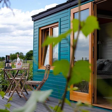 Tiny House In The Vineyard By Gramofon Wine Hotel Iordachianu Luaran gambar