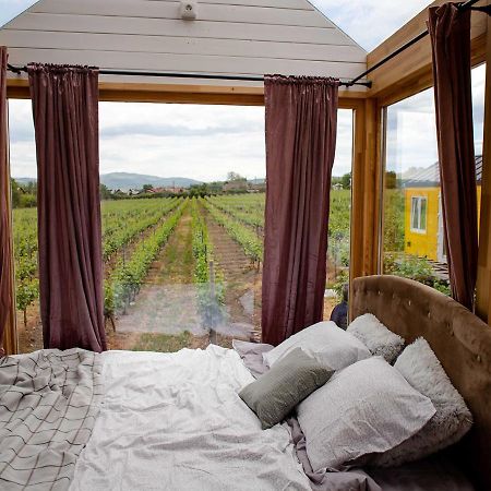 Tiny House In The Vineyard By Gramofon Wine Hotel Iordachianu Luaran gambar