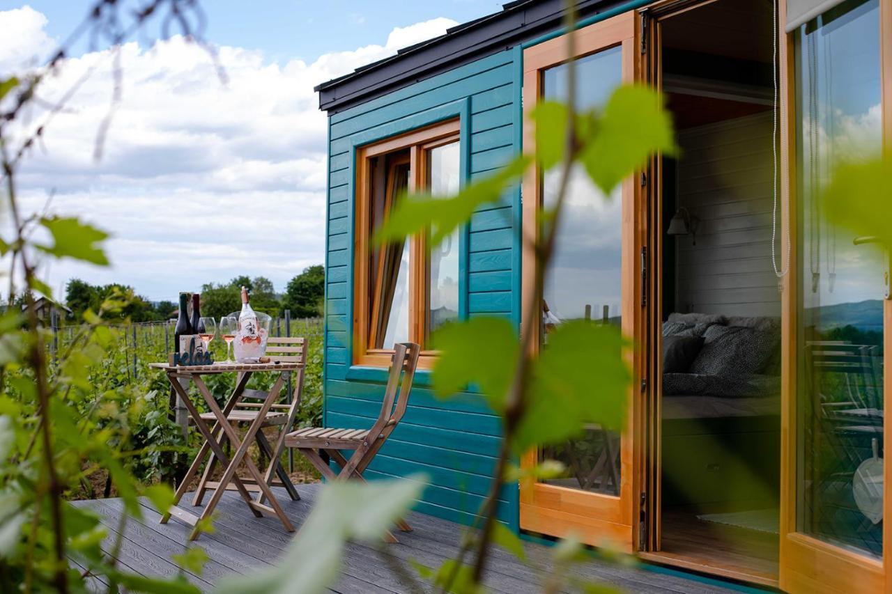 Tiny House In The Vineyard By Gramofon Wine Hotel Iordachianu Luaran gambar
