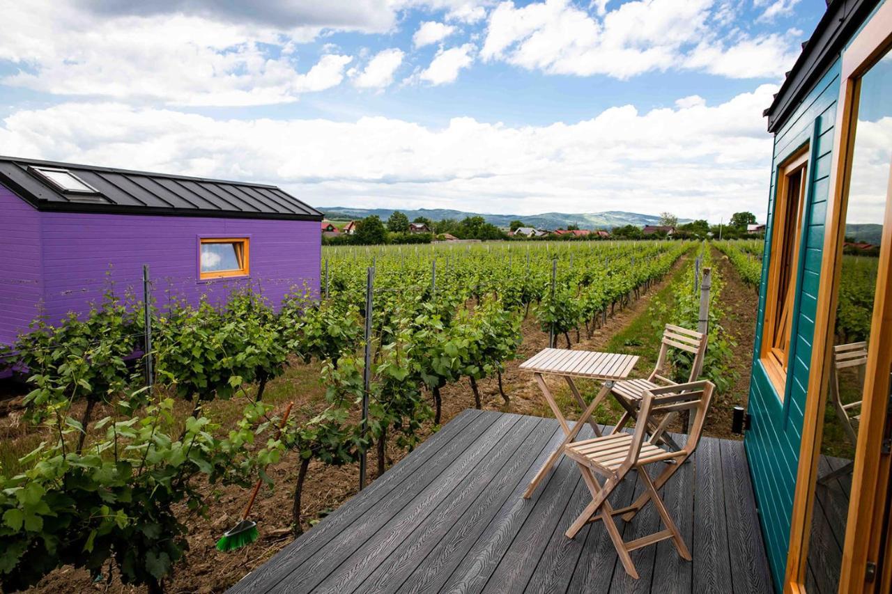 Tiny House In The Vineyard By Gramofon Wine Hotel Iordachianu Luaran gambar