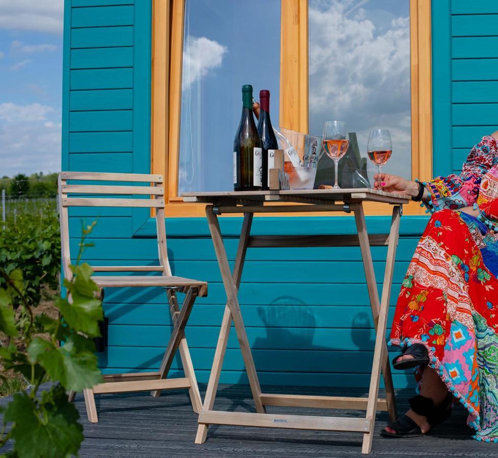 Tiny House In The Vineyard By Gramofon Wine Hotel Iordachianu Luaran gambar