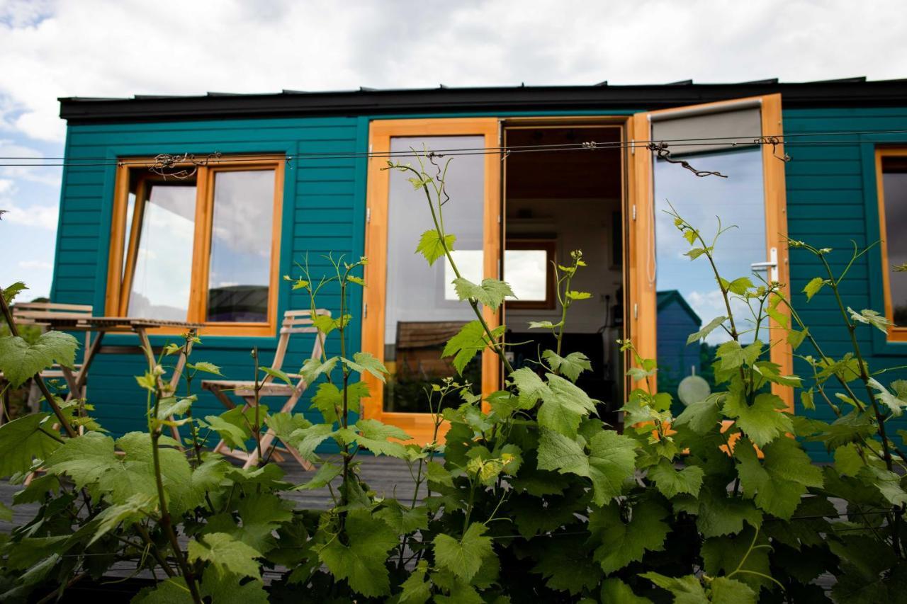 Tiny House In The Vineyard By Gramofon Wine Hotel Iordachianu Luaran gambar