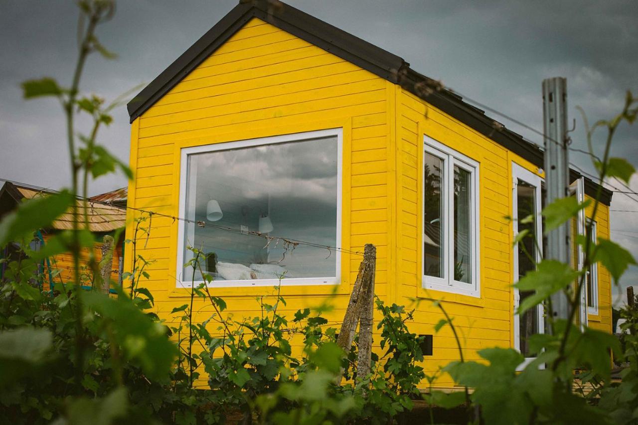 Tiny House In The Vineyard By Gramofon Wine Hotel Iordachianu Luaran gambar