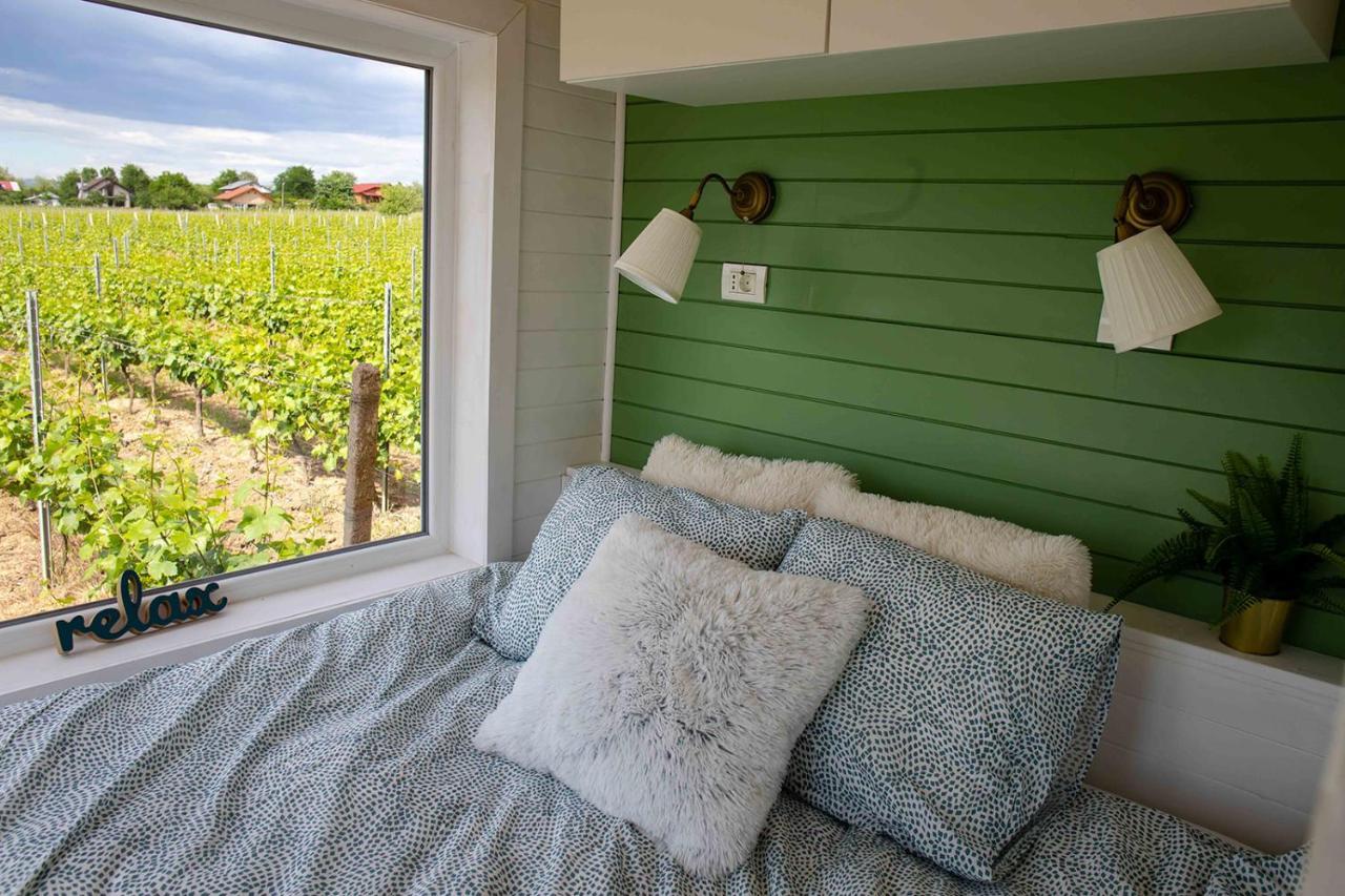 Tiny House In The Vineyard By Gramofon Wine Hotel Iordachianu Luaran gambar