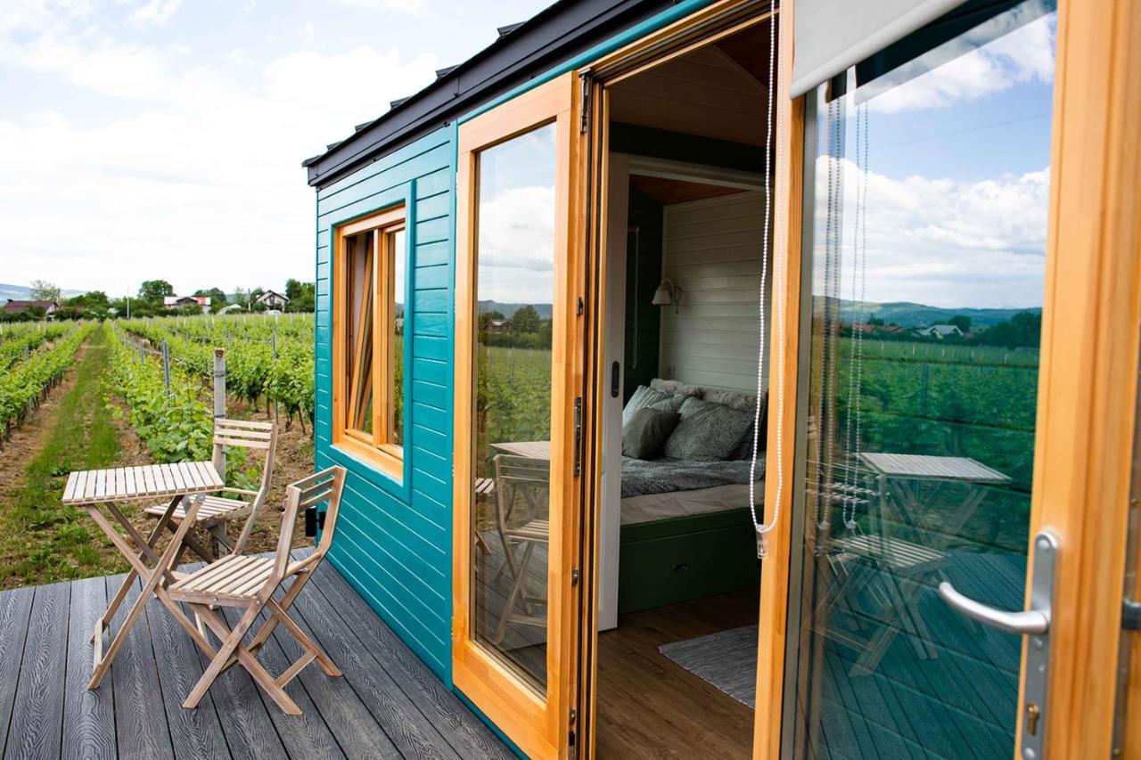 Tiny House In The Vineyard By Gramofon Wine Hotel Iordachianu Luaran gambar