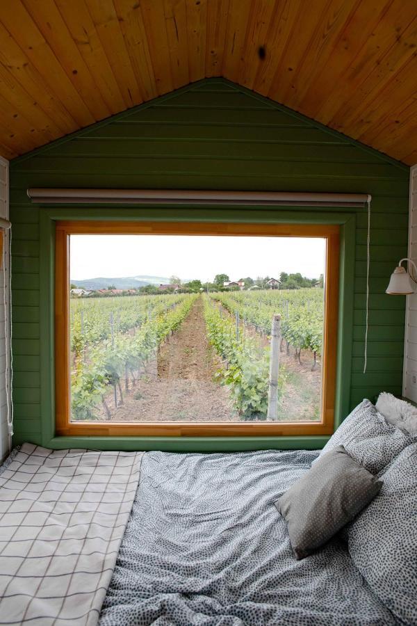 Tiny House In The Vineyard By Gramofon Wine Hotel Iordachianu Luaran gambar