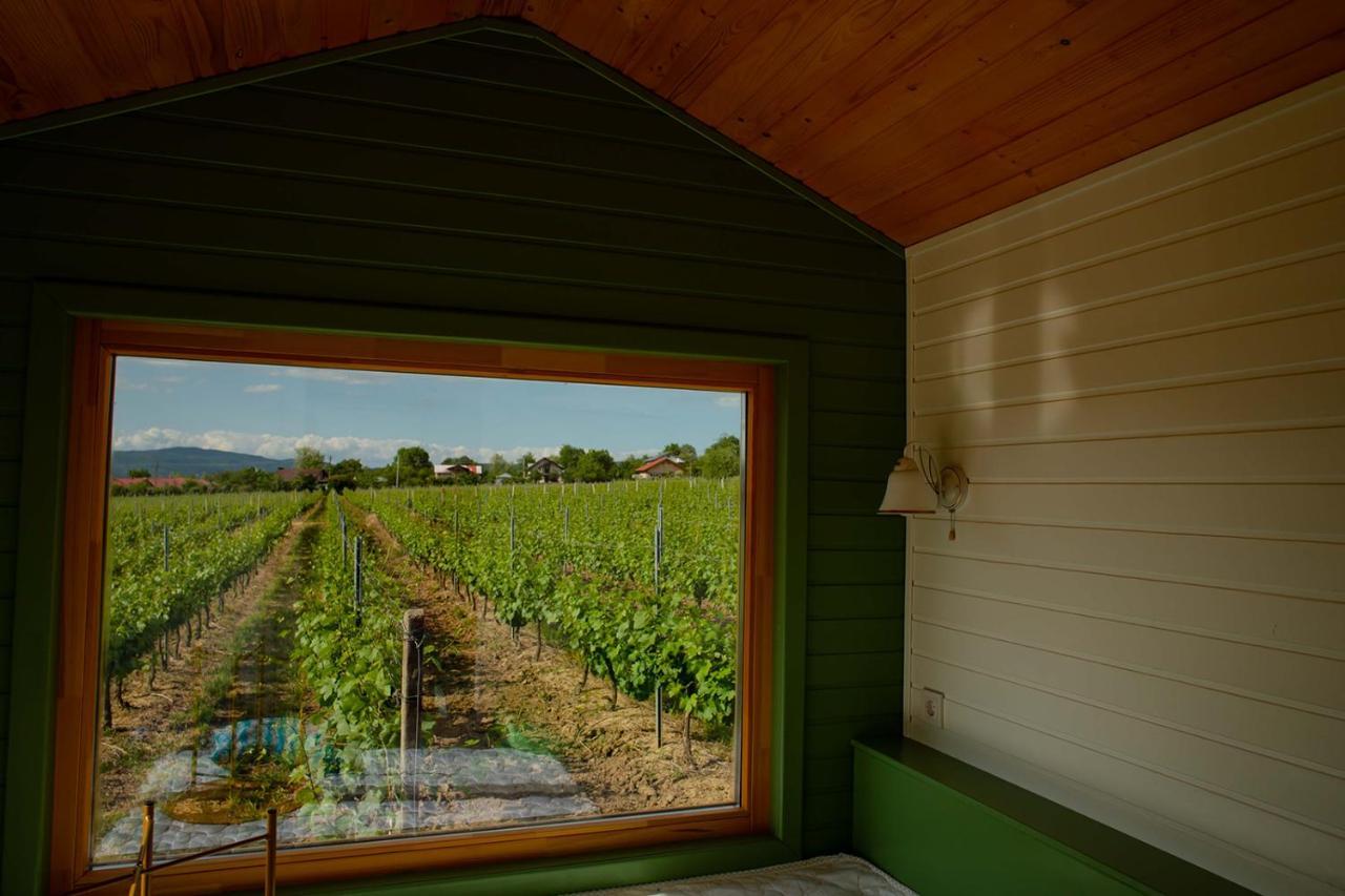 Tiny House In The Vineyard By Gramofon Wine Hotel Iordachianu Luaran gambar