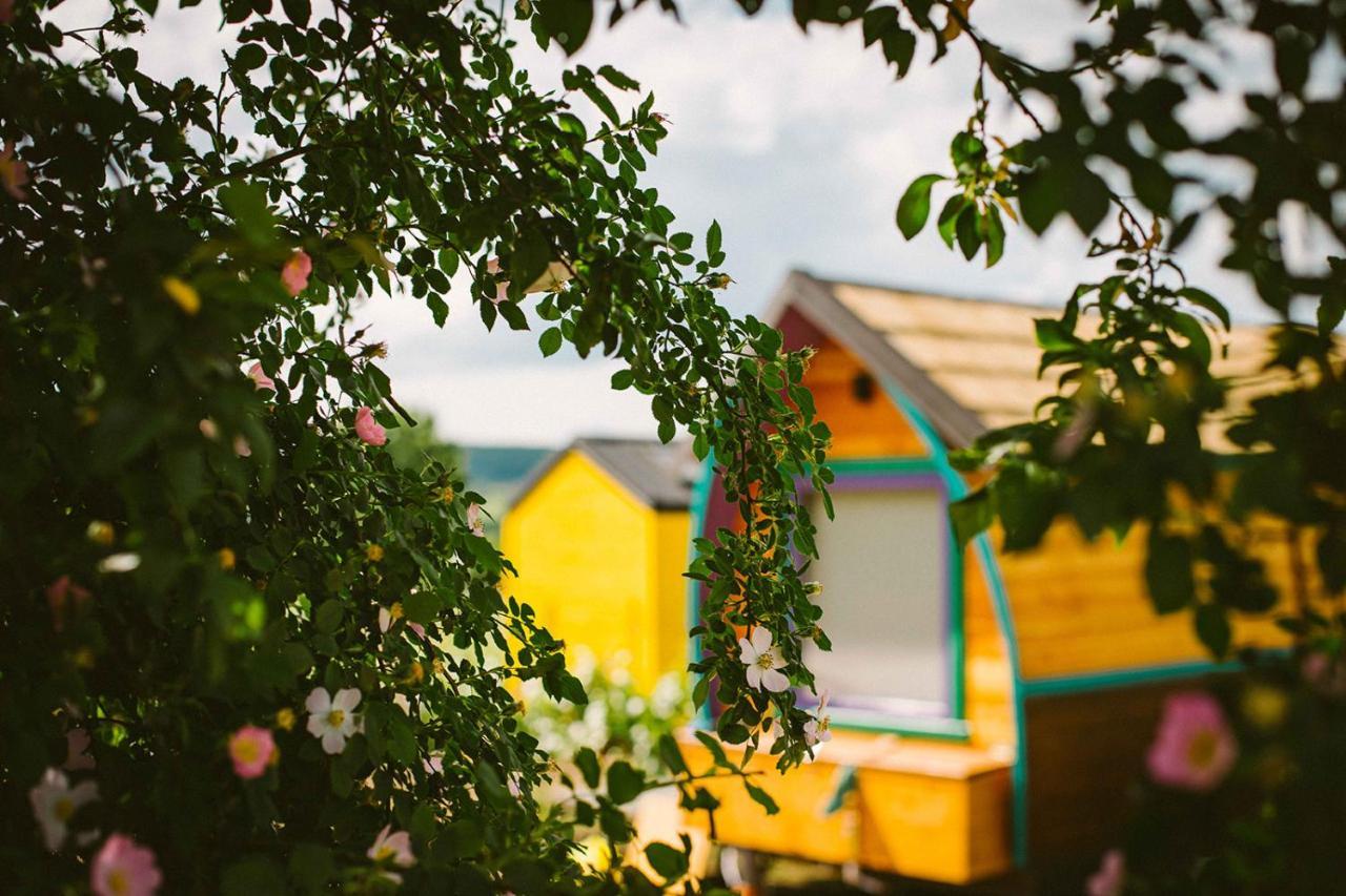 Tiny House In The Vineyard By Gramofon Wine Hotel Iordachianu Luaran gambar