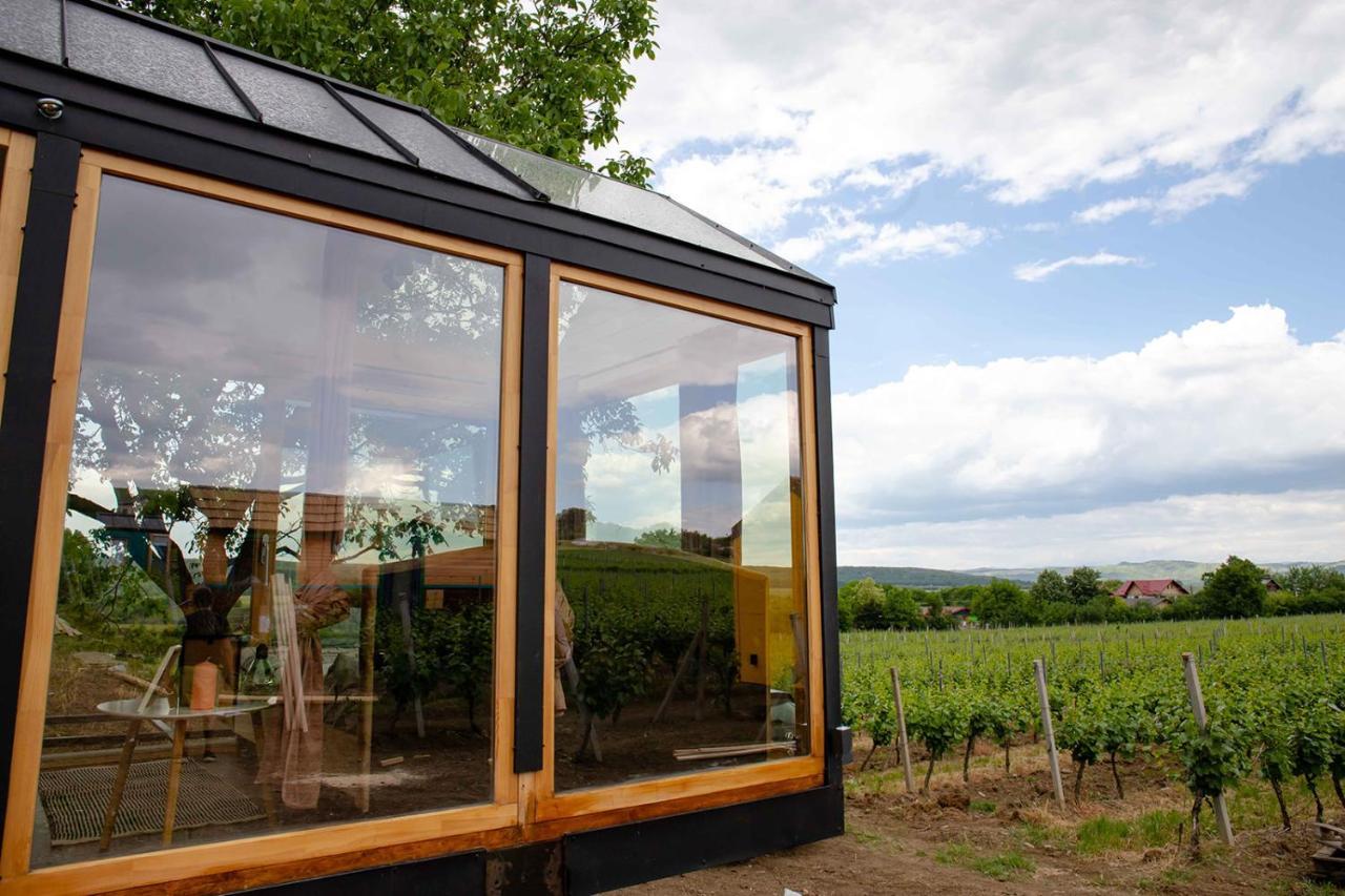 Tiny House In The Vineyard By Gramofon Wine Hotel Iordachianu Luaran gambar