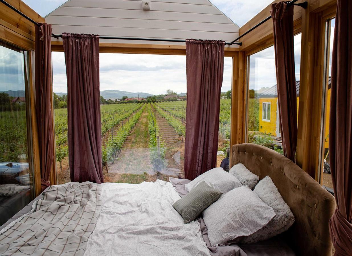 Tiny House In The Vineyard By Gramofon Wine Hotel Iordachianu Luaran gambar