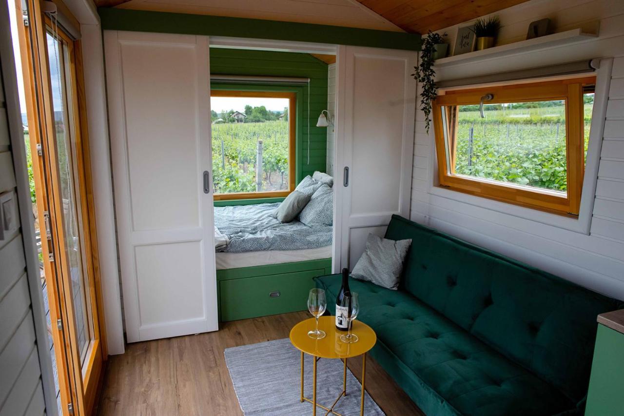 Tiny House In The Vineyard By Gramofon Wine Hotel Iordachianu Luaran gambar