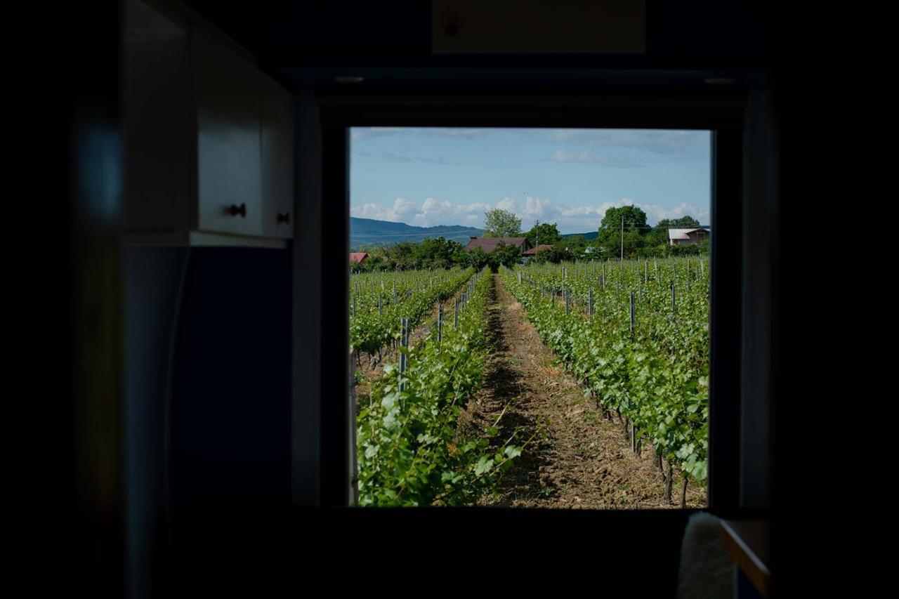 Tiny House In The Vineyard By Gramofon Wine Hotel Iordachianu Luaran gambar
