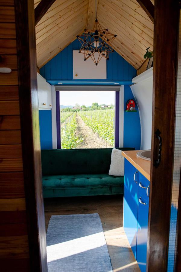 Tiny House In The Vineyard By Gramofon Wine Hotel Iordachianu Luaran gambar