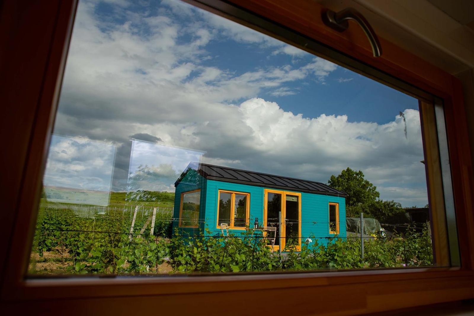Tiny House In The Vineyard By Gramofon Wine Hotel Iordachianu Bilik gambar