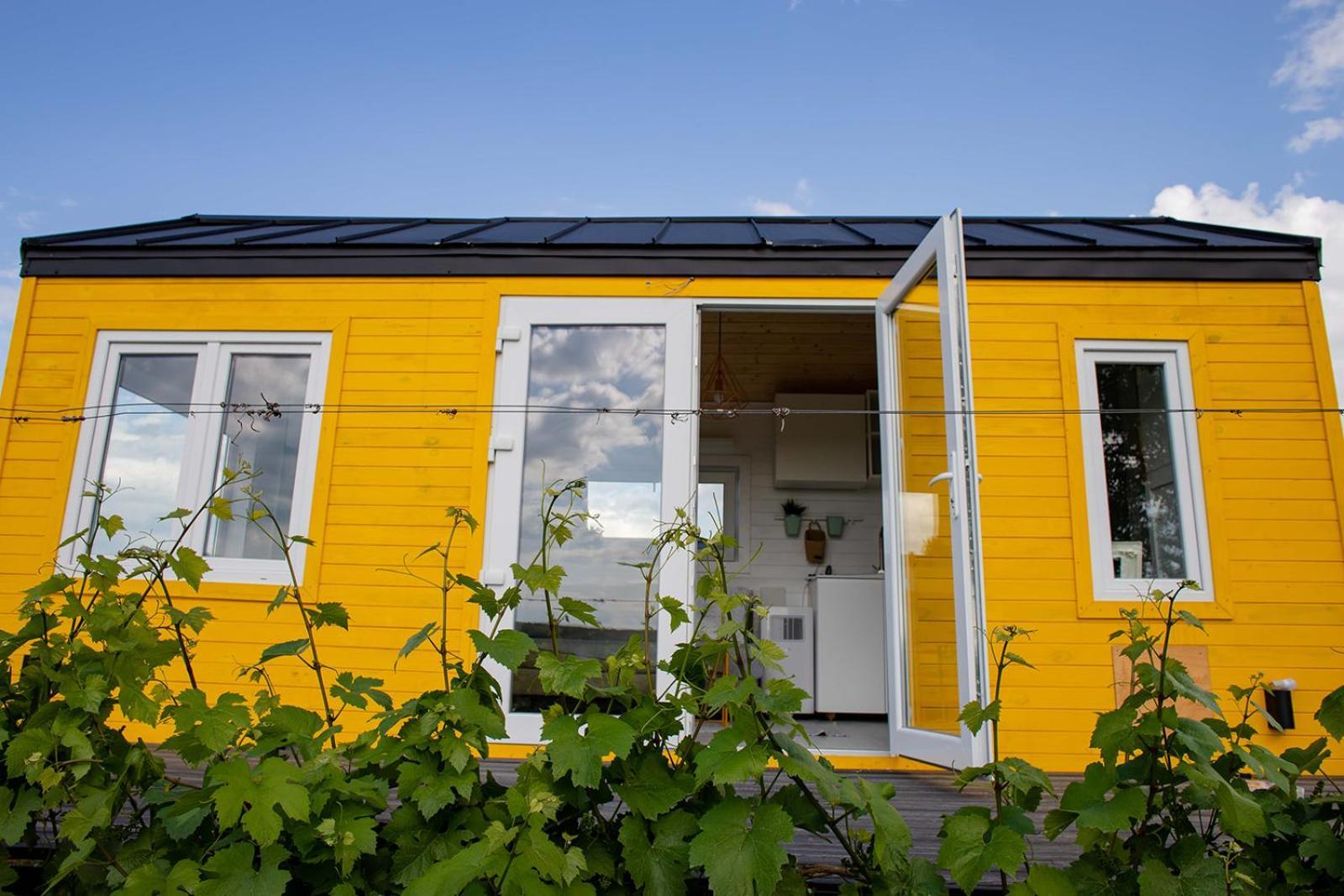 Tiny House In The Vineyard By Gramofon Wine Hotel Iordachianu Bilik gambar