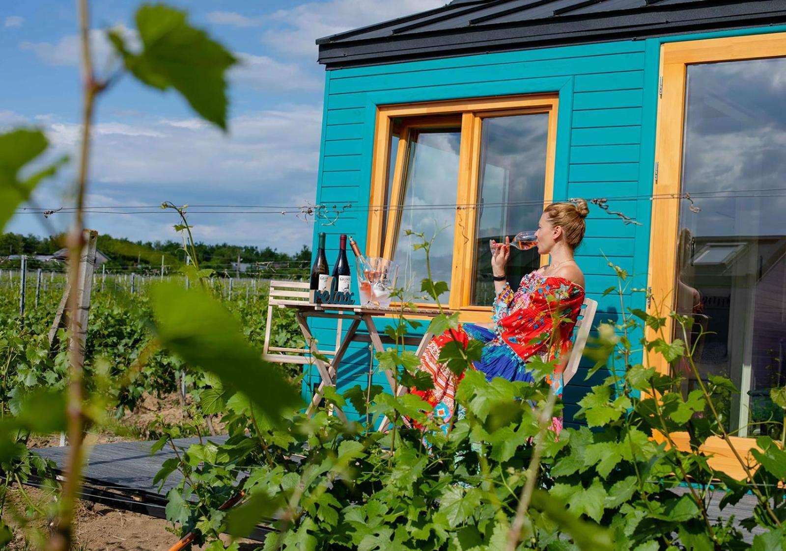 Tiny House In The Vineyard By Gramofon Wine Hotel Iordachianu Bilik gambar