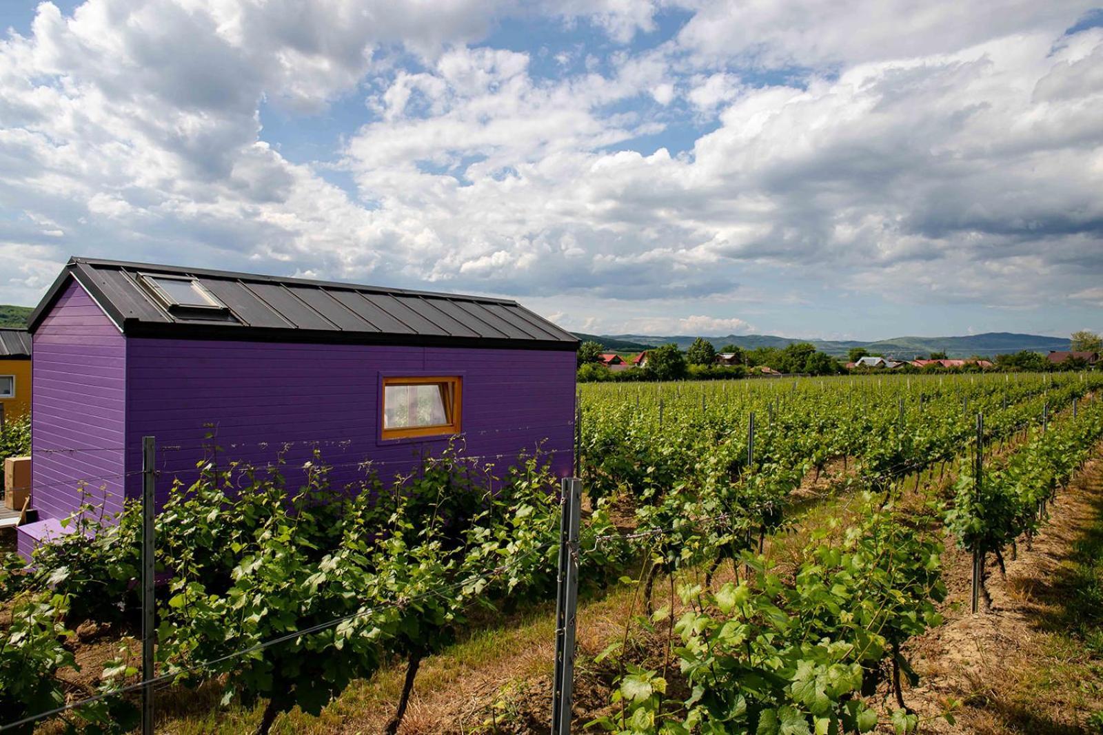 Tiny House In The Vineyard By Gramofon Wine Hotel Iordachianu Bilik gambar