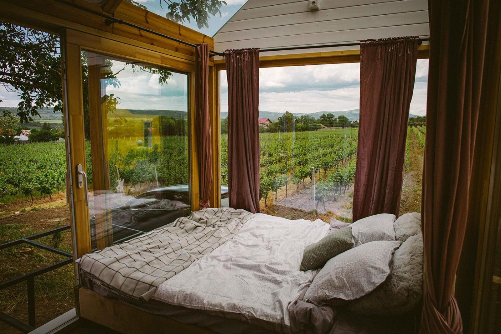 Tiny House In The Vineyard By Gramofon Wine Hotel Iordachianu Bilik gambar